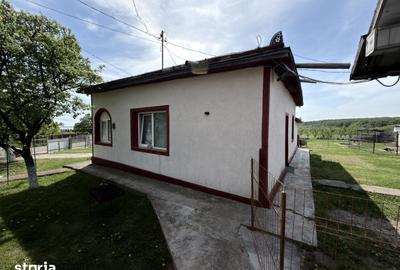 Casă cu 5 camere cu Teren 5000 Mp în Mihai Eminescu - 3
