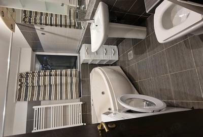 Apartament cu 2 camere semidecomandat în Lipovei