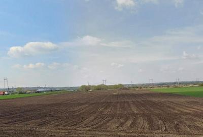 Teren de 33700 mp, în Iepurești