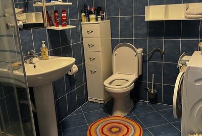 Casă cu 4 camere cu Teren 535 Mp în Paleu - 7