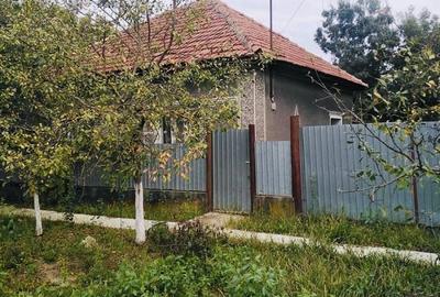Casă cu 3 camere în Șepreuș - 2