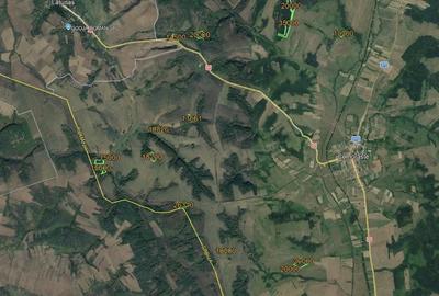 Teren de 25000 mp, în Forotic