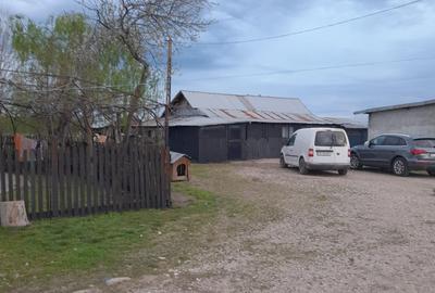 Teren agricol intravilan de 5 mp, în Ciuperceni (Cosmești) - 2