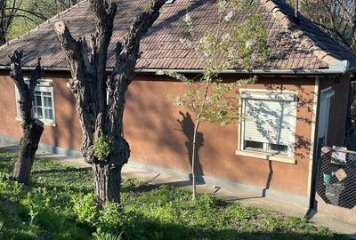 Casă cu 3 camere în Central - 3