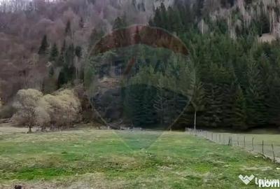 Teren în Rucăr - 2