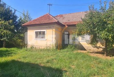Casă cu 4 camere cu Teren 985 Mp în Malu cu Flori