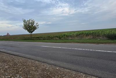 Teren agricol extravilan de 18000 mp, în Boțârlău - 17