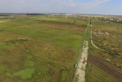 Teren de 5000 mp, în Ciorogârla