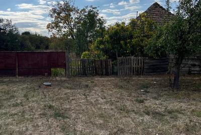 Casă cu Teren 800 Mp în Hodoni