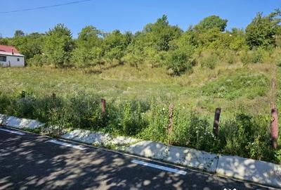 Casă cu 7 camere în Mărunțișu