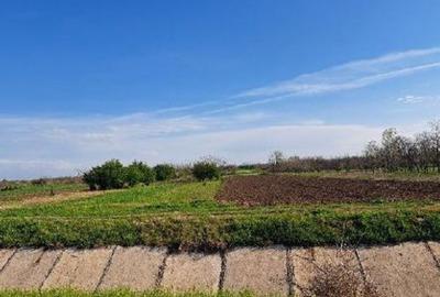 Teren de 1500 mp, în Central - 5