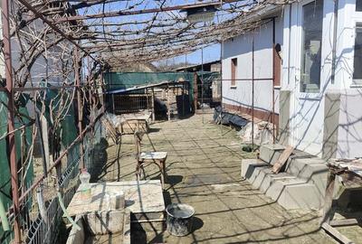 Casă cu 3 camere în Central - 9