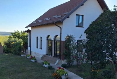 Casă cu 6 camere cu Teren 7200 Mp în Mihai Eminescu - 16