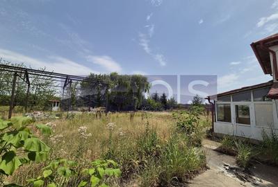 Teren Construcții intravilan de 35510 mp, în Belciugatele - 7