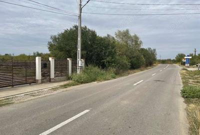 Teren de 4200 mp, în Gorgota - 2