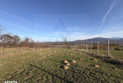 Teren de 809 mp, în Poplaca - 10