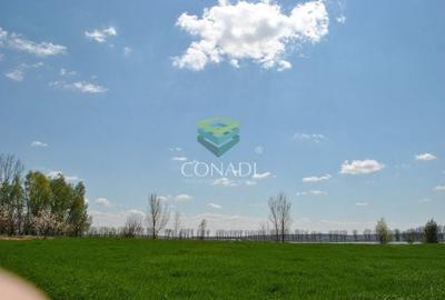 Teren agricol extravilan de 2270000 mp, în Ciocănești - 3