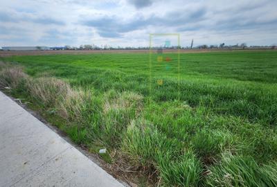 Teren agricol intravilan de 10000 mp, în Șag - 1