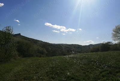 Teren de 4100 mp, în Ampoița - 3