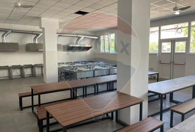 Casă individuală cu 25 camere cu Teren 2600 Mp în Berceni - 3