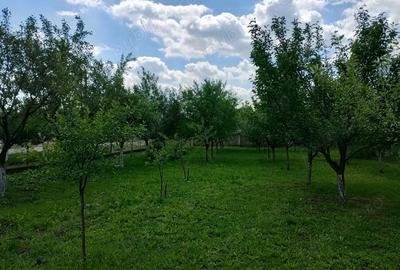 Teren de 1200 mp, în Șimand
