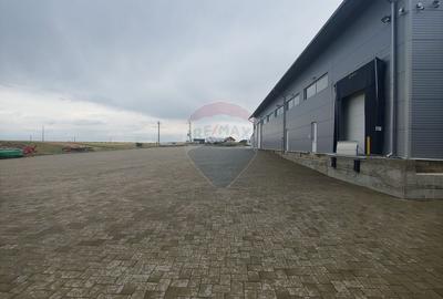 Spațiu industrial, de 292 mp, în Dumbrăveni - 6