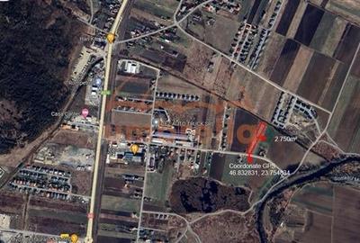 Teren Construcții intravilan de 5500 mp, în Jucu de Mijloc - 2