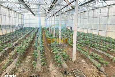 Teren de 29000 mp, în Nicolae Bălcescu - 10