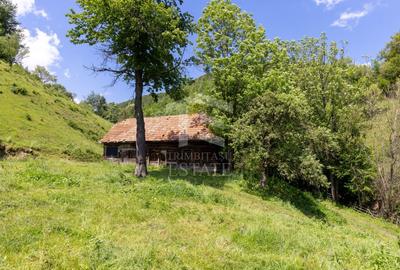 Teren Construcții intravilan de 11381 mp, în Moieciu - 14