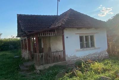 Spațiu comercial, în Pomi