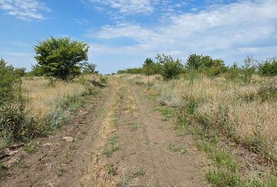 Teren de 7500 mp, în Brădești