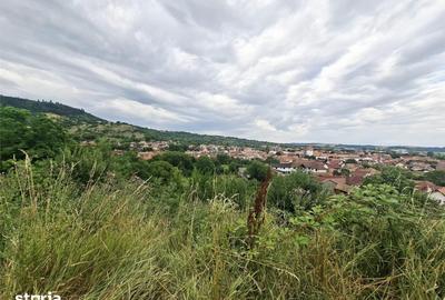 Teren de 1355 mp, în Central