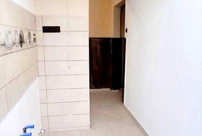 Apartament cu 2 camere nedecomandat în Burdea - 5