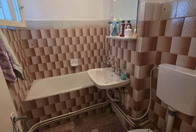 Apartament cu 3 camere semidecomandat în Viziru 1