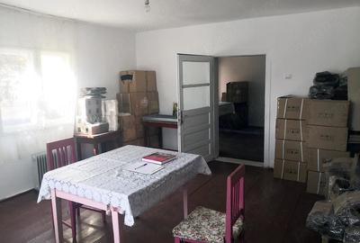 Teren de 12000 mp, în Ierbuș - 3