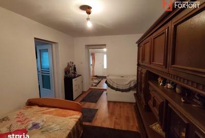 Casă cu 3 camere cu Teren 545 Mp în Lenauheim - 9