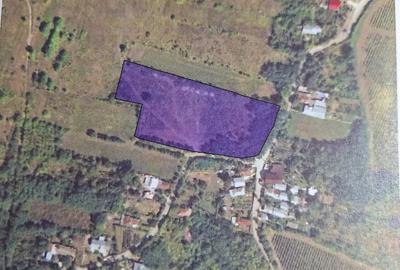 Teren de 8000 mp, în Jercălăi - 2