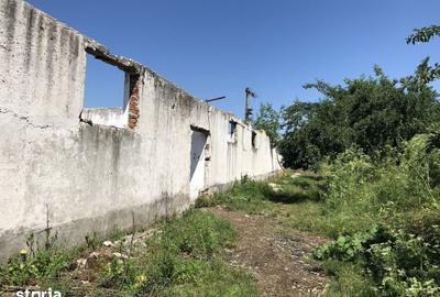 Teren de 8160 mp, în Rădoiești - 2