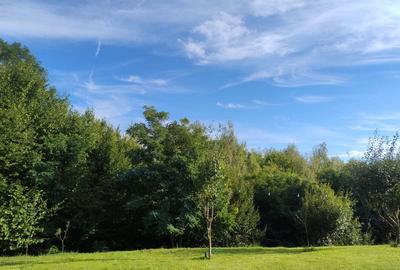 Casă cu 2 camere în Valea Mare - 6