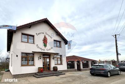 Spațiu comercial, de 190 mp, în Șofronea - 18