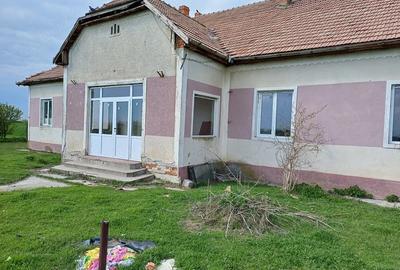 Casă cu Teren 1500 Mp în Pădureni - 1