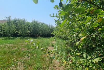 Casă individuală cu 4 camere cu Canalizare în Stupini - 14
