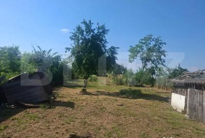 Casă cu 2 camere cu Teren 5000 Mp în Mogoșani - 4