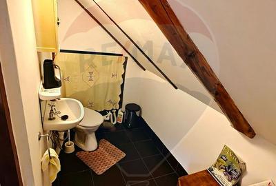 Casă individuală cu 4 camere cu Teren 345 Mp în Băiuț - 13