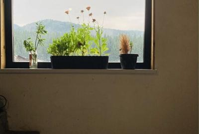 Casă cu 3 camere în Cheia - 3