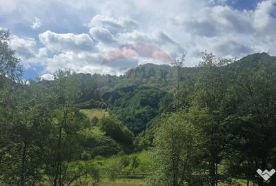 Teren în Râu Sadului
