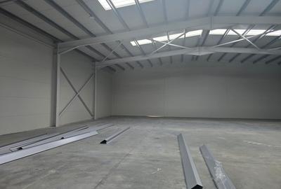 Spațiu industrial, de 700 mp, în Centura Est - 4
