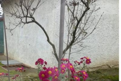 Casă cu 2 camere cu Teren 1807 Mp în Central