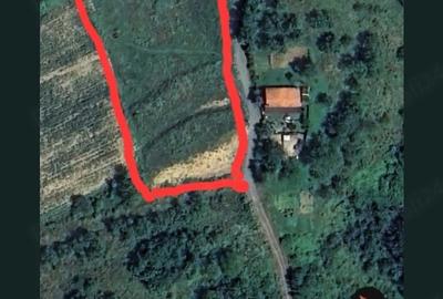 Teren de 4500 mp, în Șoimuș