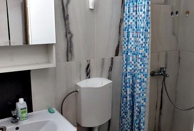 Casă individuală cu 18 camere cu Canalizare în Lipovei - 26